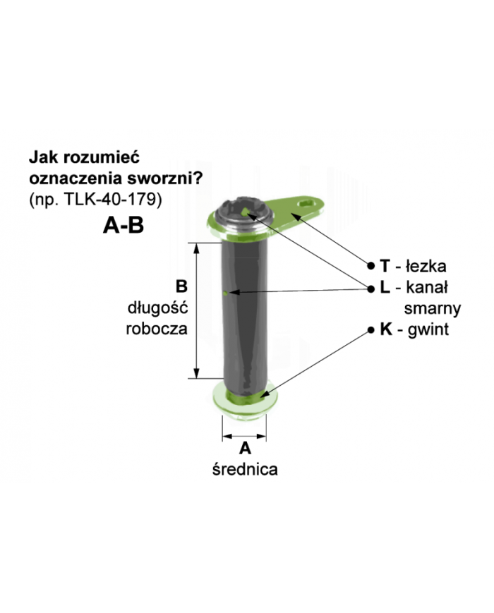 Sworzeń