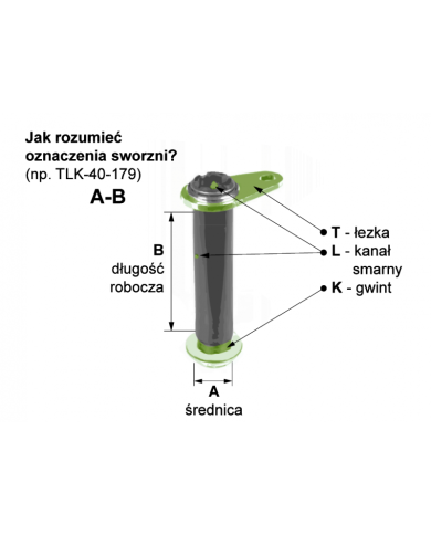 Sworzeń