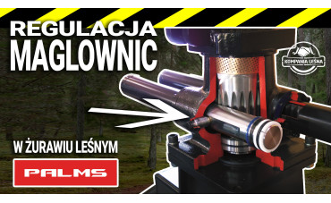 Regulacja maglownic w żurawiu Palms